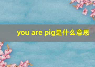 you are pig是什么意思